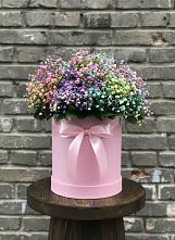 Цветочная композиция из Гипсофила и Розы в шляпной коробке #REPLACE_PRED# Маршале Жукове