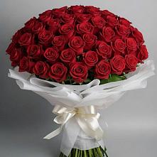Букет 101 Красная роза Блэк Мэджик в Маршале Жукове