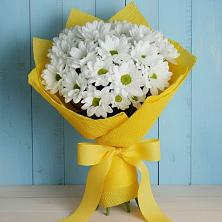 Букет цветов из:  Хризантемы в Маршале Жукове