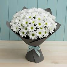 Букет цветов из:  Хризантемы #REPLACE_PRED# Маршале Жукове