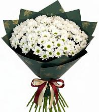 Букет цветов из:  Хризантемы в Маршале Жукове