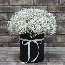 Цветочная композиция из Гипсофила в шляпной коробке в Маршале Жукове
