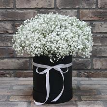 Цветочная композиция из Гипсофила в шляпной коробке в Маршале Жукове