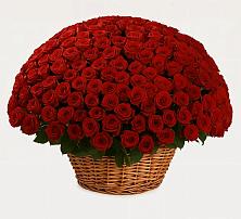 Премиум букет из: Розы в Маршале Жукове