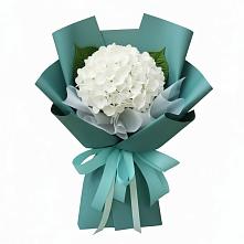 Букет цветов из:  Гортензия в Маршале Жукове